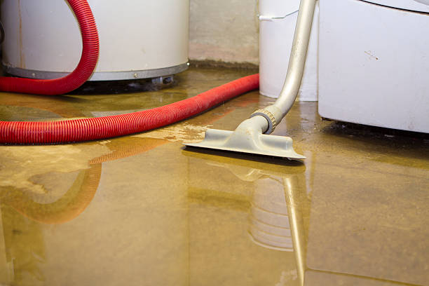 Best Ceiling water damage repair  in Benton, TN